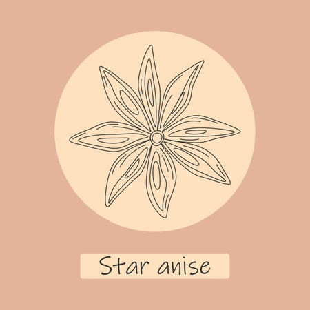 Contour drawing of anise on the backdrop of circle with lettering Star anise. Template for wrappingのイラスト素材