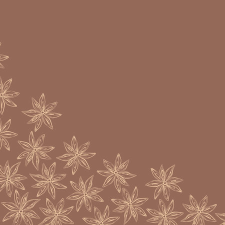 Abstract corner frame of outline drawing of anise stars in trendy pale brown. Herbs and spices day.のイラスト素材