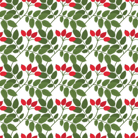 Rosehip berries and leaves Seamless pattern in trendy shades Isolate EPS Vector Wrapping, wallpaper, packing or web, posters, banner, brochures or price tag, label, promo, advertisement design conceptのイラスト素材