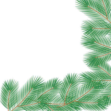 Fuzzy pine branches without decoration Corner frame border. Copy space Cards or Lettering template. Isolated Vector illustration Cards poster, banner, brochure, greeting, price, label or web templateのイラスト素材