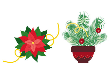 Poinsettia and pine twigs in flower pot with Christmas decoration in trendy bright New Year colors. Set of 2 Isolated Vector illustration New Year greeting cards, posters, leaflet, banner or web promoのイラスト素材