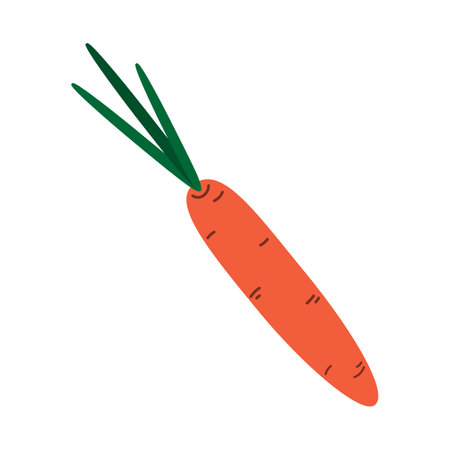 Hand drawn Carrot with leaves in trendy doodle style. Healthy eating cards or Sticker Icon element. Isolated Vector illustration Thematic cards or web promo banner, poster, leaflets, price tag, labelsのイラスト素材