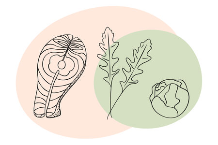 Freehand Outline Salmon steak Brussels Sprout Head Arugula Abstract spot Healthy food highlight idea. Isolated Vector illustration Thematic Menu cards Healthy Eating leaflets or web promo banner, tagsのイラスト素材