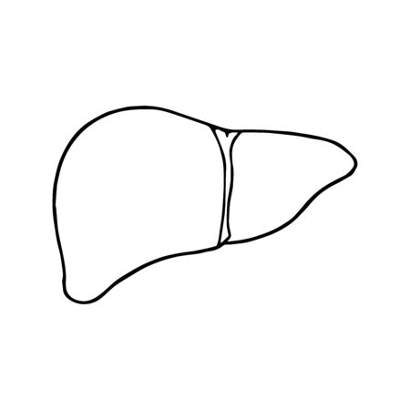 liver icon hand drawn contour isolated on white backgroundのイラスト素材