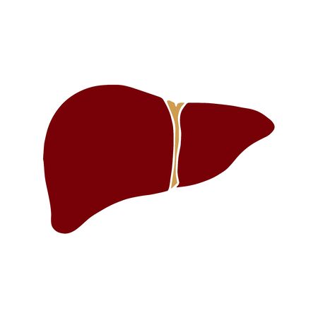 liver icon isolated on white backgroundのイラスト素材