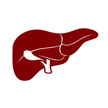 liver icon isolated on white backgroundのイラスト素材