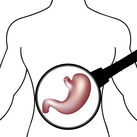 the silhouette of the human body stomach under a magnifying glassのイラスト素材