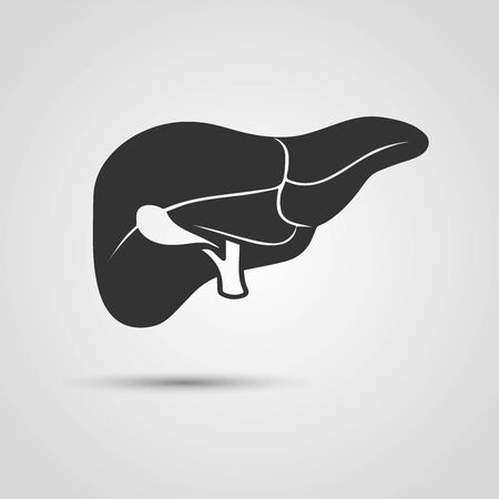 liver icon with shadow isolated on light gray backgroundのイラスト素材