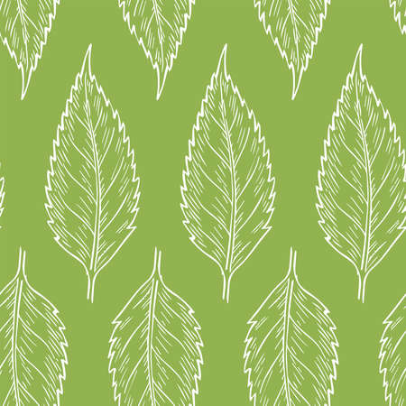 Vector illustration of leaves seamless models. Organic flower background.のイラスト素材