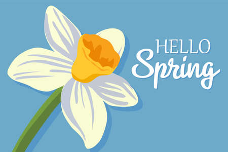 Vector blue spring background with white daffodil flower in flat illustration style. Hello springのイラスト素材