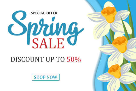 Spring sale background with a beautiful white daffodil flower. Vector illustration template. Banners. Wallpaper. Flyers, invitations, posters, brochures, discount on the voucher.のイラスト素材