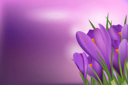 Spring poster with a bouquet of purple crocuses. Design of a spring bouquet of flowers for greeting the holiday Hello Springの写真素材