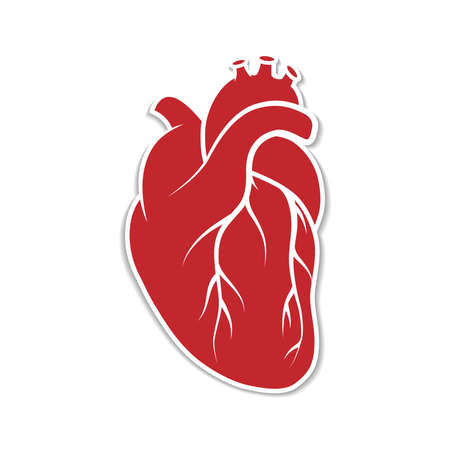 A symbol of the human heart. Vector paper-cut icon of the inner heart of a human organ. A red heart, an internal organ, with a white border and a shadow isolated on a white background. Vector illustraのイラスト素材
