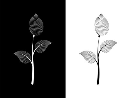 A flower on a contrasting background. Black and white background in two versions. Vectorのイラスト素材