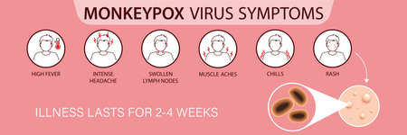 Symptoms of the monkey pox virus. Monkey pox is spreading. This causes skin infections. Infographic...