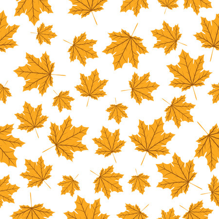 Seamless vector pattern with yellow maple leaves on a white background. Yellow autumn maple leaves of different sizes are scattered in a chaotic manner. autumn seamless backgroundのイラスト素材