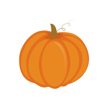 Fresh pumpkin on a white background. Harvesting for the winter. autumn harvest. Orange pumpkin in a flat style. Autumn icon, symbol. vector illustrationのイラスト素材