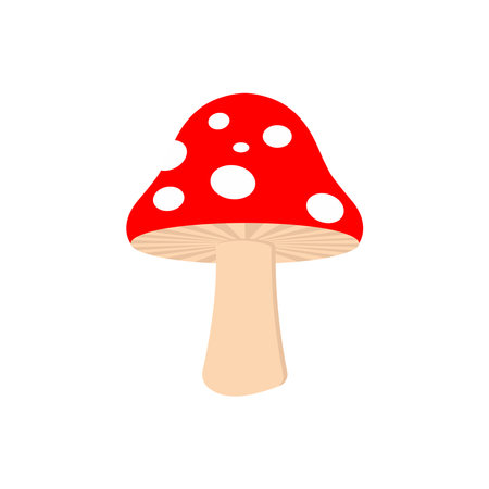 Vector illustration of a simple mushroom. Red fly agaric. Cartoon children's painted mushroom fly agaric in a flat style isolated on a white backgroundのイラスト素材