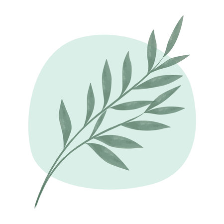 Minimalistic background with leaves. vector illustration. A painted green branch with leaves on the background of an abstract spot isolated on a white backgroundのイラスト素材