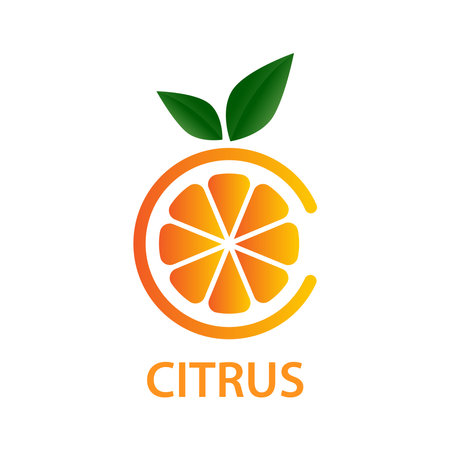 The concept of vitamin C, citrus fruits, healthy. Natural vitamin Vector illustration, abstract slice of orange in the form of the letter C.のイラスト素材