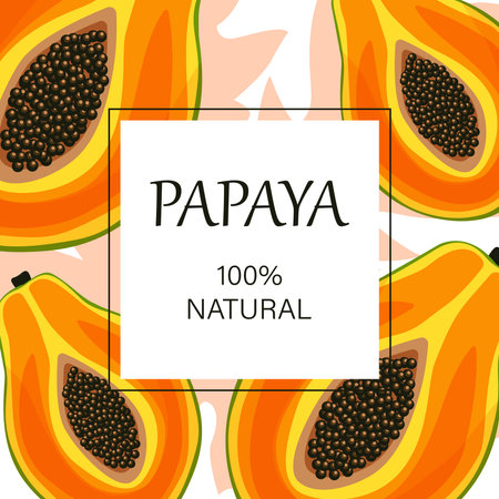 Stylized orange papaya on a white background with the inscription "papaya, 100% natural". Banner, poster, sticker, print, modern design. Vector illustration.のイラスト素材