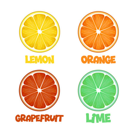 Lemon, lime, orange and grapefruit slice. Citrus fruits set. Vector cartoon illustration.のイラスト素材
