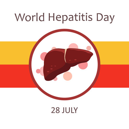 World Hepatitis Day is celebrated on July 28. Awareness feed, text and liver on a white background. Vector illustrationのイラスト素材