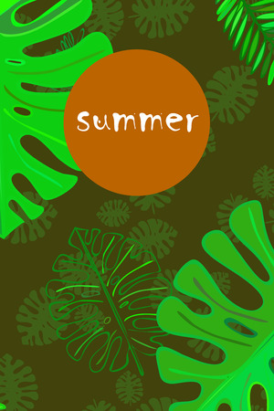 Leaves of tropical plants. Color summer postcard, summer vacation. Vector background.のイラスト素材
