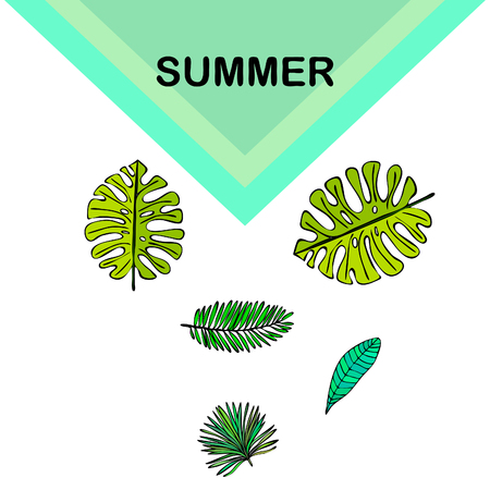 The leaves are tropical plants. Summer rest. Tropical design. Vector background.のイラスト素材