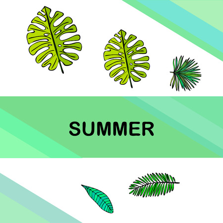 The leaves are tropical plants. Summer rest. Tropical design. Vector background.のイラスト素材