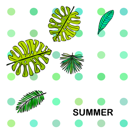 The leaves are tropical plants. Summer rest. Tropical design. Vector background.のイラスト素材