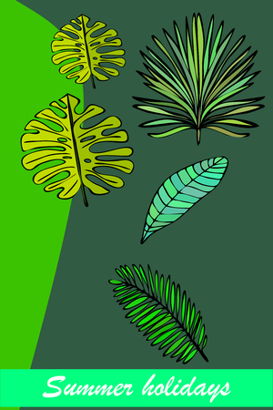 The leaves are tropical plants. Summer rest. Tropical design. Vector background.のイラスト素材