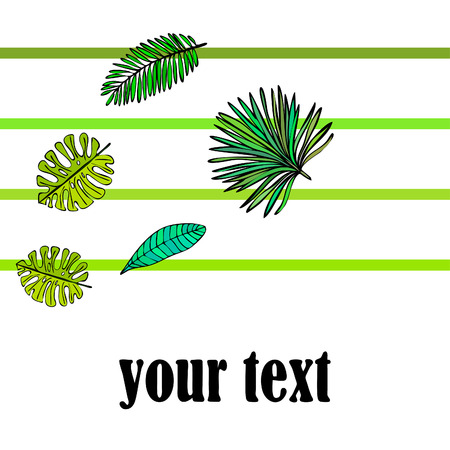 The leaves are tropical plants. Summer rest. Tropical design. Vector background.のイラスト素材