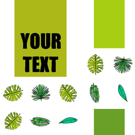 The leaves are tropical plants. Summer rest. Tropical design. Vector background.のイラスト素材