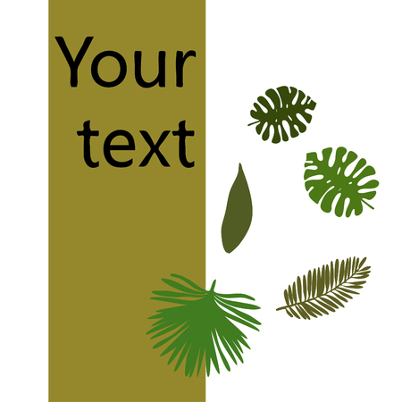 The leaves are tropical plants. Summer rest. Tropical design. Vector background.のイラスト素材