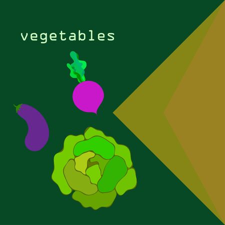 Cabbage, eggplant, beets, fresh vegetables. Organic food poster. Farmer market design. Vector background.のイラスト素材