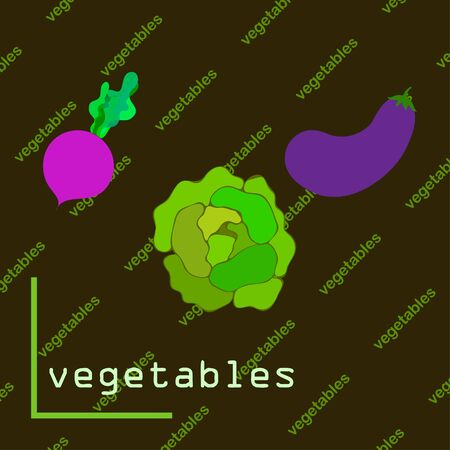 Cabbage, eggplant, beets, fresh vegetables. Organic food poster. Farmer market design. Vector background.のイラスト素材