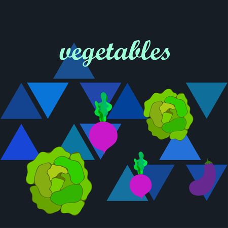 Cabbage, eggplant, beets, fresh vegetables. Organic food poster. Farmer market design. Vector background.のイラスト素材