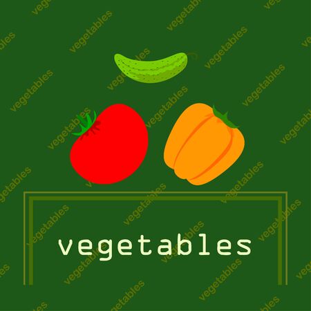 Tomato, pepper, cucumber. Fresh vegetables. Organic food poster. Farmer market design. Vector backgroundのイラスト素材