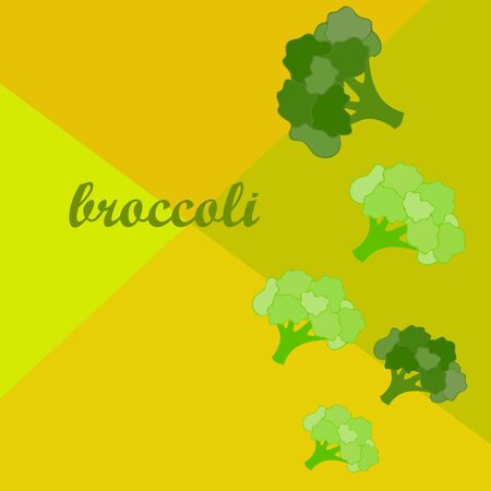 Broccoli, fresh vegetable. Organic food poster. Farmer market design. Vector background.のイラスト素材