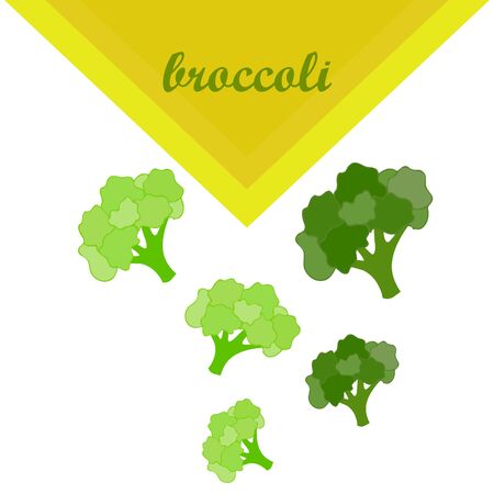 Broccoli, fresh vegetable. Organic food poster. Farmer market design. Vector background.のイラスト素材