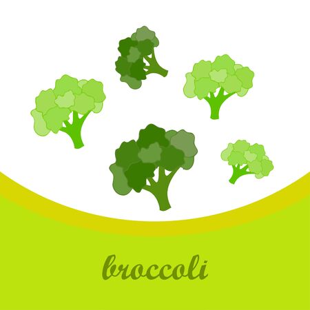 Broccoli, fresh vegetable. Organic food poster. Farmer market design. Vector background.のイラスト素材
