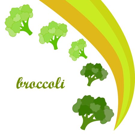 Broccoli, fresh vegetable. Organic food poster. Farmer market design. Vector background.のイラスト素材