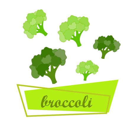 Broccoli, fresh vegetable. Organic food poster. Farmer market design. Vector background.のイラスト素材