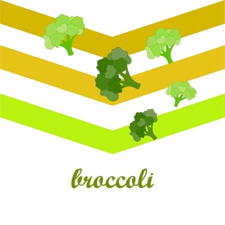 Broccoli, fresh vegetable. Organic food poster. Farmer market design. Vector background.のイラスト素材