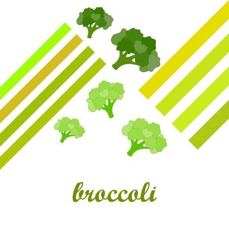 Broccoli, fresh vegetable. Organic food poster. Farmer market design. Vector background.のイラスト素材