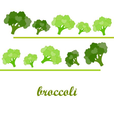 Broccoli, fresh vegetable. Organic food poster. Farmer market design. Vector background.のイラスト素材