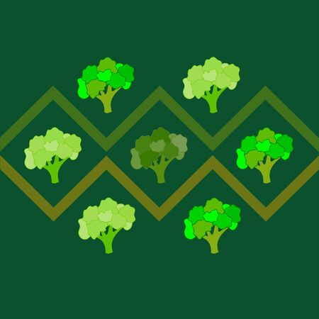 Broccoli, fresh vegetable. Organic food poster. Farmer market design. Vector background.のイラスト素材