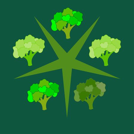 Broccoli, fresh vegetable. Organic food poster. Farmer market design. Vector background.のイラスト素材