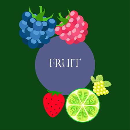 Fruits and berries. Colorful cartoon fruit icons: blackberry, raspberry, grape, strawberr, lime. Vector background.のイラスト素材